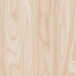 Americas-Pastime-small-1